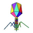 science.peddler