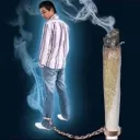 dgotmotion