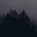 tryied_2