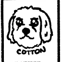 geelatooo