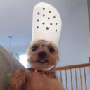 littlesoldieer_
