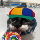 avatar The Article 5 Enjoyer