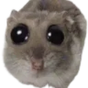 flaviajsanders