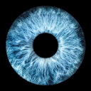 jayyyb#7566's avatar