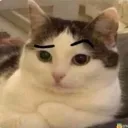 jayovanie