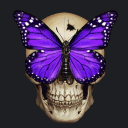 monarch_luis