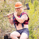 Virtual Lumberjack