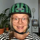 sannikohtaus