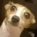 vyvy667