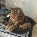 nadixa_