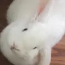 sophiew