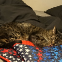 avatar 𝕖.𝕠𝕟