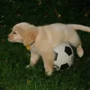 makrooooo