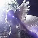 sha77777777