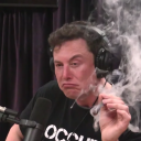 Add Elon Musk Discord Bot | The #1 Discord Bot and Discord App List