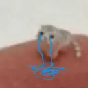 untico