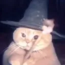 sweeteems