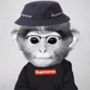 sc4pegoat avatar