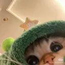 minchy86