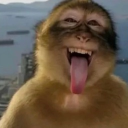 avatar anxietree 🎄