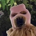 lucyubago