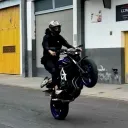 liondatuamae
