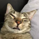 persimmonprincess