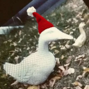 avatar Goose