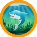 aquash4rk avatar