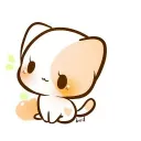 1chaton