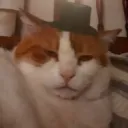 .dagrumpy