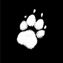 avatar ᴍɪᴅᴅɪ