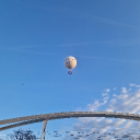 avatar Chaton mignon