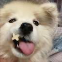 avatar me hackearon pe mano por webon p