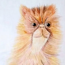 avatar SamLovesCheese