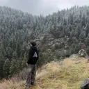 tfwlandon