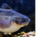 avatar ཐི♡ཋྀ • Beowulf