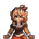 maci_vox