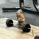 m4rmelad1k