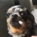 abnerhatesyou