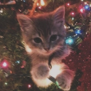 avatar ∘₊ marioxpeach ✧₊∘