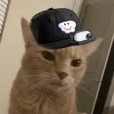 bot_matt