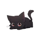 intuityawn