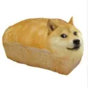 dogebreads