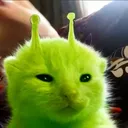 sloupoko