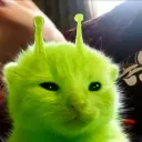 sloupoko