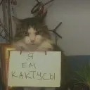 Аватар .what__11