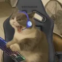 __human_error__