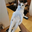 avatar викулечка