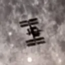 lyre4869